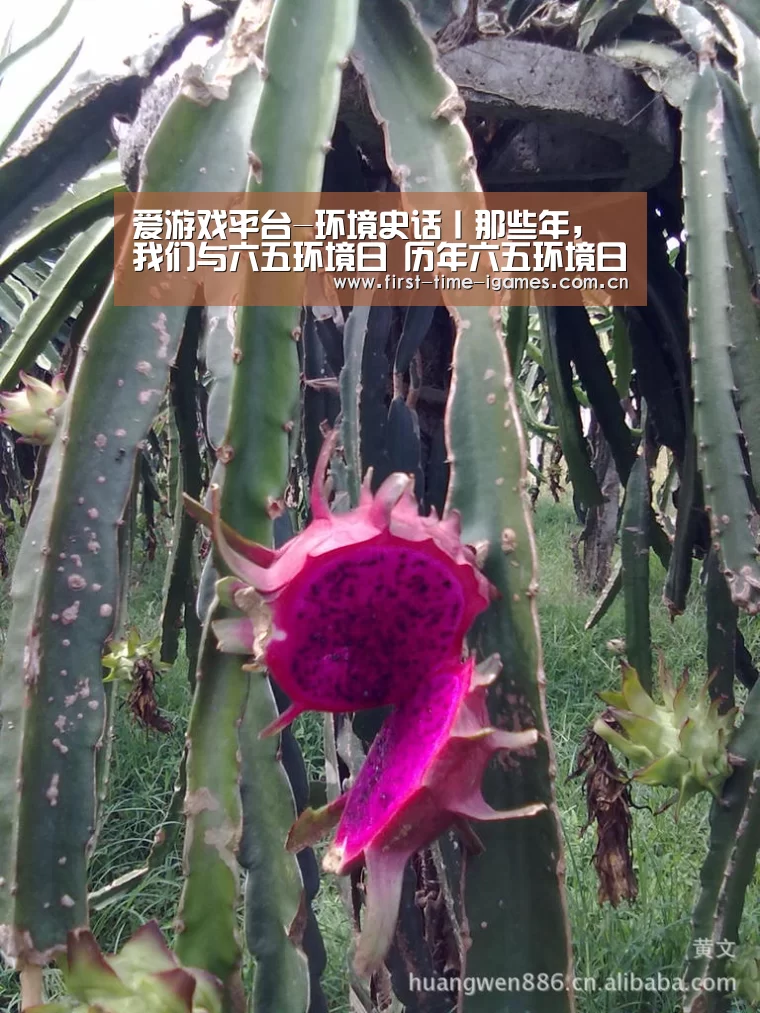 爱游戏平台-环境史话丨那些年,我们与六五环境日 历年六五环境日中国主题(图2) 爱游戏入口